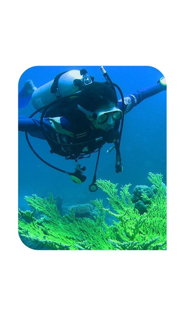 Orca Dive Club - Orca Dive Club 1/110 Shroff House, Opp Jijamata Nagar, Dr. E. Moses Road, Worli, Gandhi Nagar, Upper Worli, Worli, Mumbai, Maharashtra 400018, India