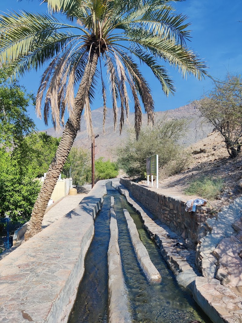 Falaj Al Khatmain birkat al mouz - Falaj Al Khatmain birkat al mouz, WMF9+823, Birkat Al Mouz, Oman