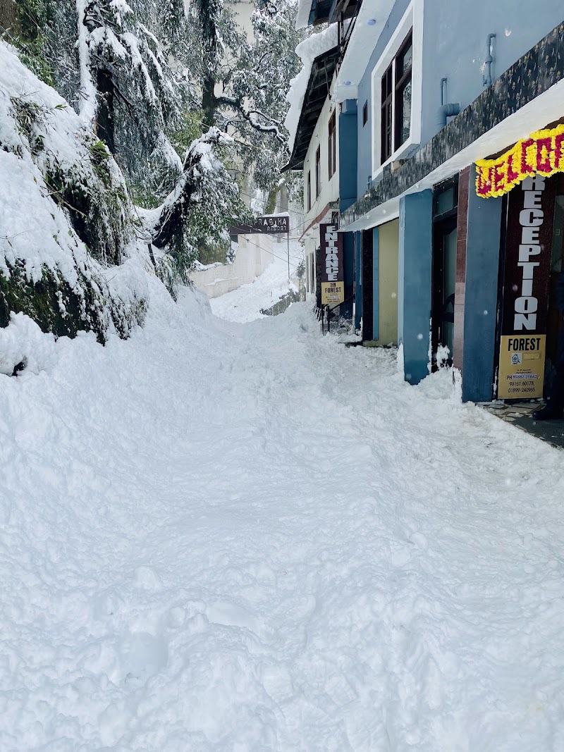 Hotel forest dalhousie - Hotel forest dalhousie FOREST LODGE, GUEST HOUSE, BUS STAND, Moti Tiba, Dalhousie, Himachal Pradesh 176304, India