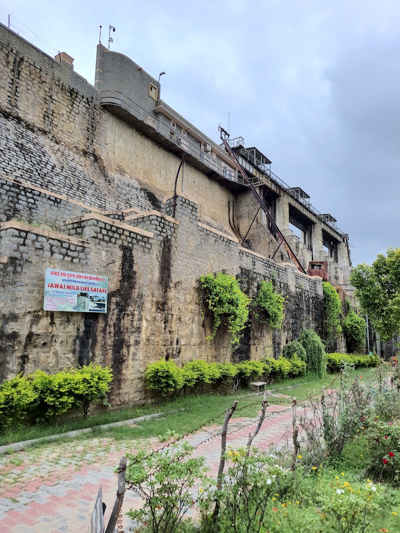 Jawai Bandh - Jawai Bandh Jawai Bandh, Rajasthan 306126, India