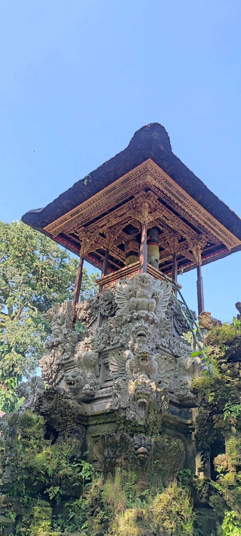 Campuhan Ridge Walk - Campuhan Ridge Walk Jl. Raya Ubud, Kelusa, Kec. Payangan, Kabupaten Gianyar, Bali, Indonesia