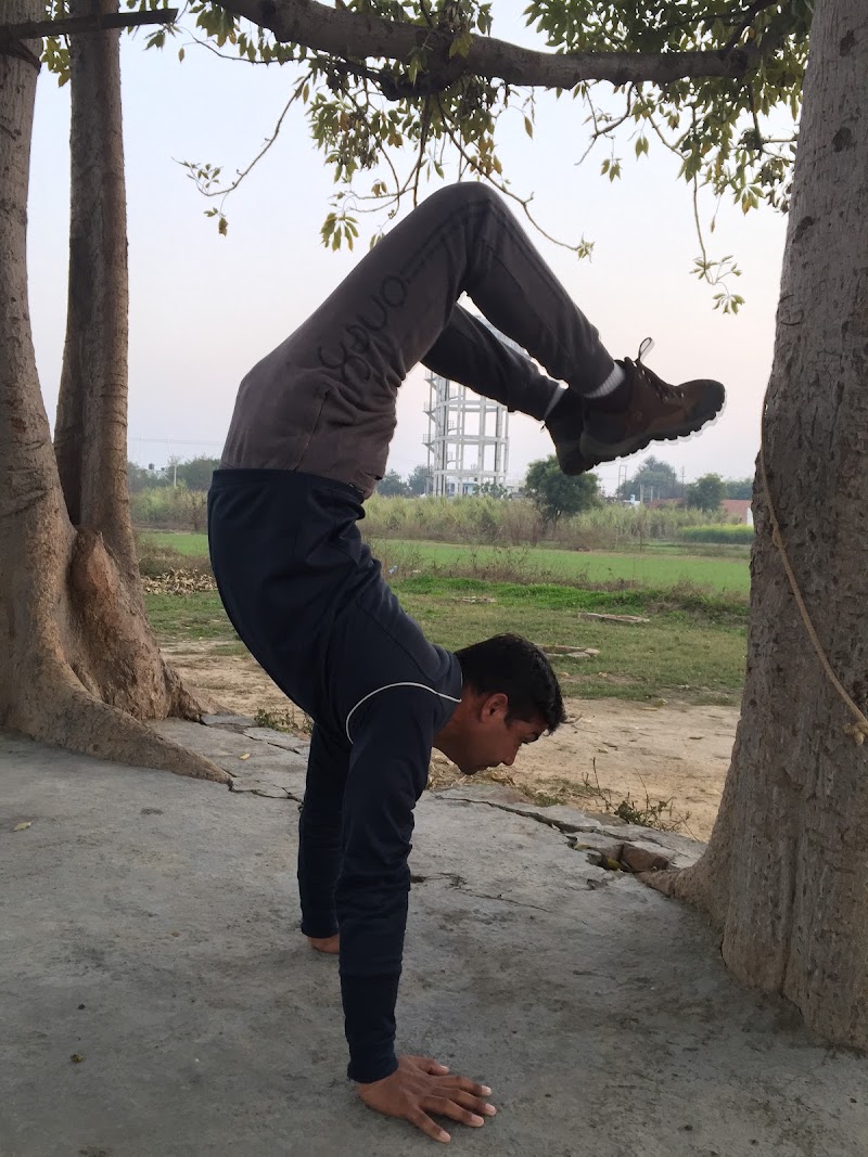 Meenakshi Yoga & Aerobics - Meenakshi Yoga & Aerobics Ward 2 A, Sector 28, Noida, Uttar Pradesh 201303, India