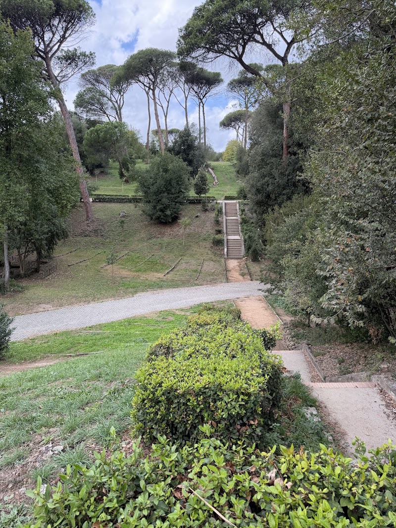 Laghetto - Laghetto, Viale Don Luigi di Liegro, 00199 Roma RM, Italy