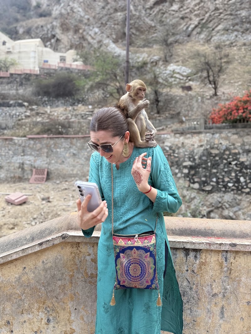Destino India Tours - Destino India Tours, Block A, Taimoor Nagar, New Friends Colony, New Delhi, Delhi 110065, India