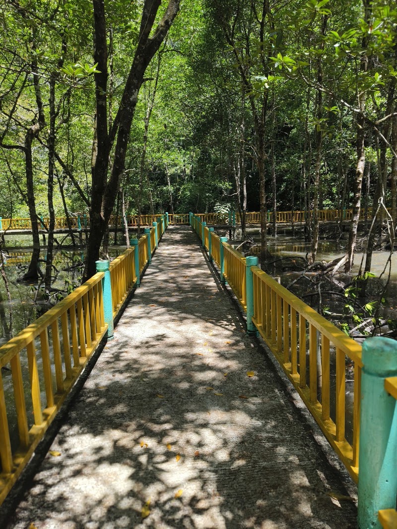 Kilim Karst Geoforest park Nursery