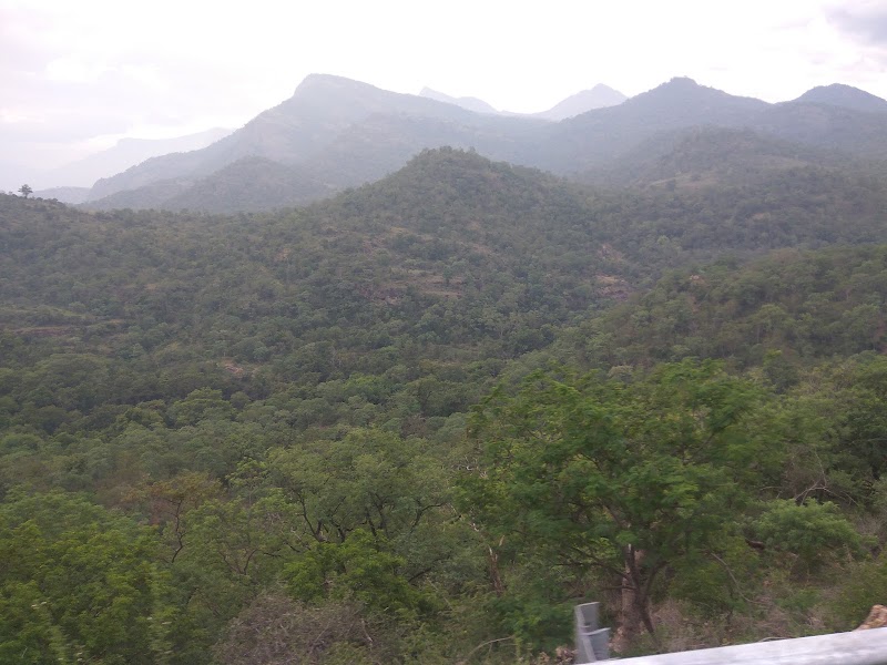Chinnar Wildlife Sanctuary - Chinnar Wildlife Sanctuary 8644+PC6, Munnar - Udumalpet Rd, Munnar, Kerala 685612, India