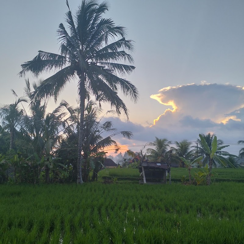 Puri Tangsub - Puri Tangsub, Jl. Raya Sebali, Keliki, Kec. Tegallalang, Kabupaten Gianyar, Bali 80561, Indonesia