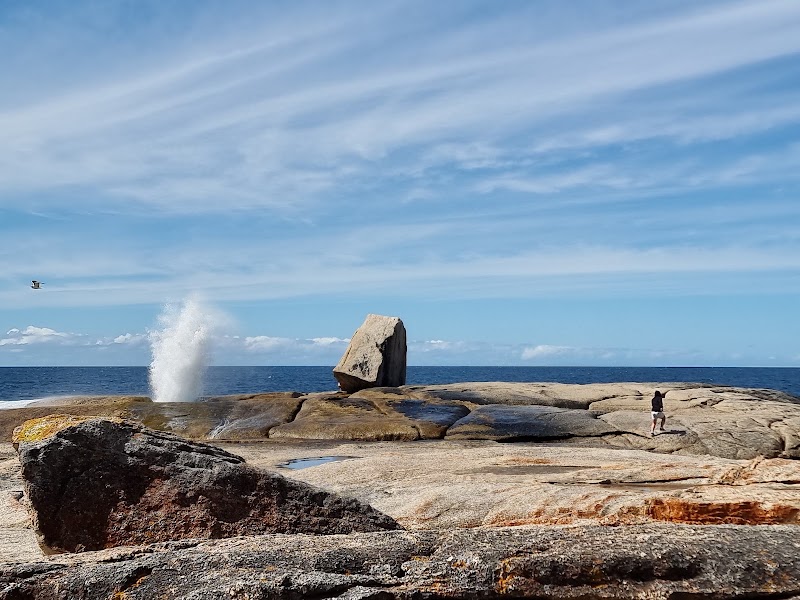 Bicheno Blowhole - Bicheno Blowhole, Douglas St, Bicheno TAS 7215, Australia