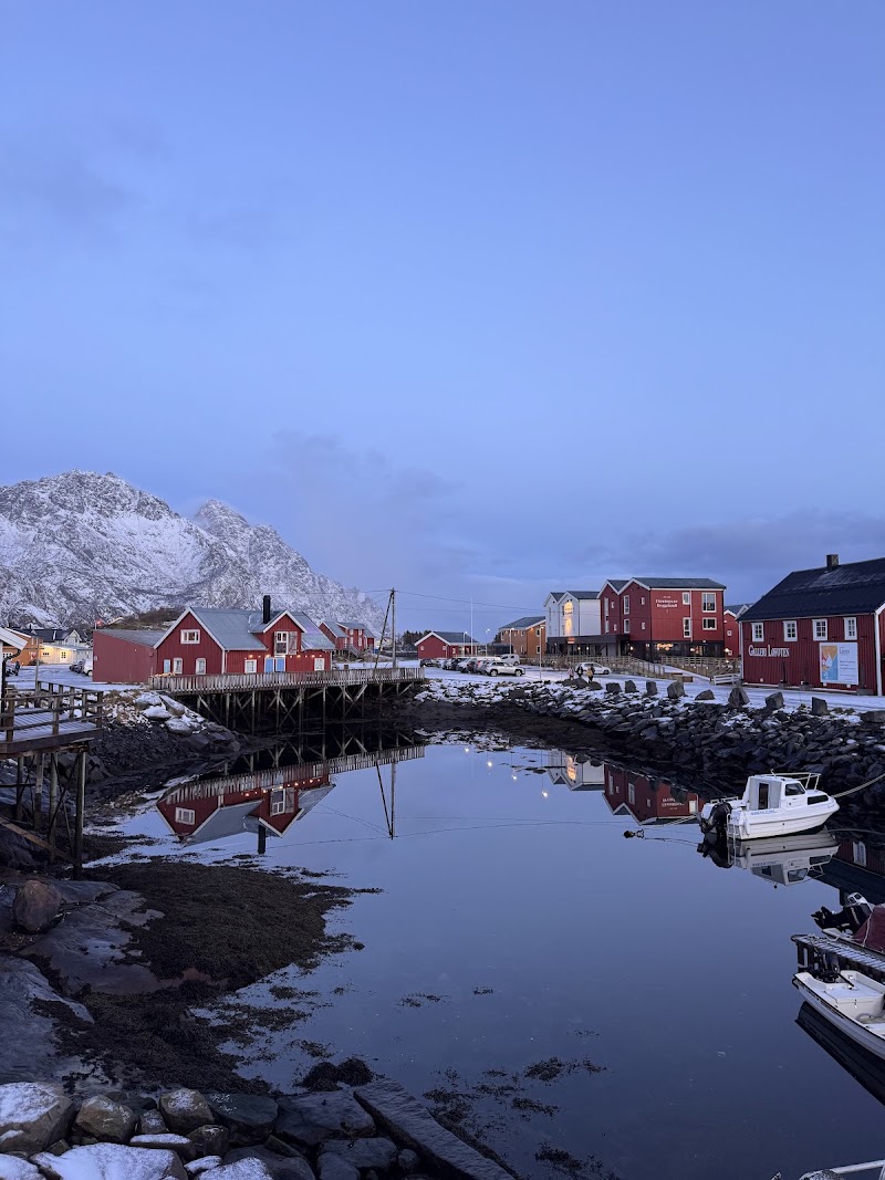 Lofoten Opplevelser - Lofoten Opplevelser Dreyers gate 15, 8312 Henningsvær, Norway