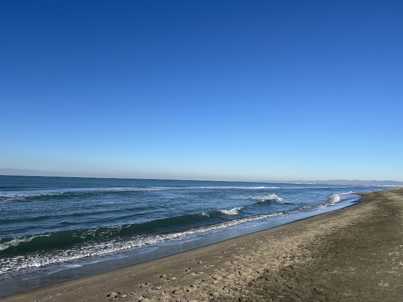 Oasi Fregene - Oasi Fregene, Lungomare di Levante, 22, 00054 Fregene RM, Italy