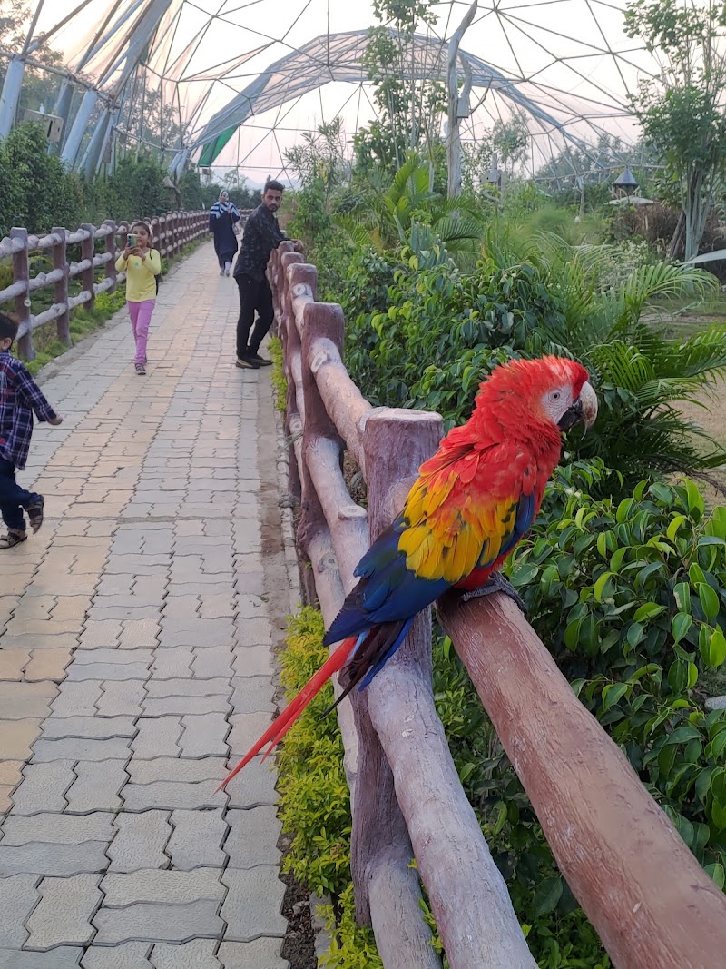 Exotic Aviary