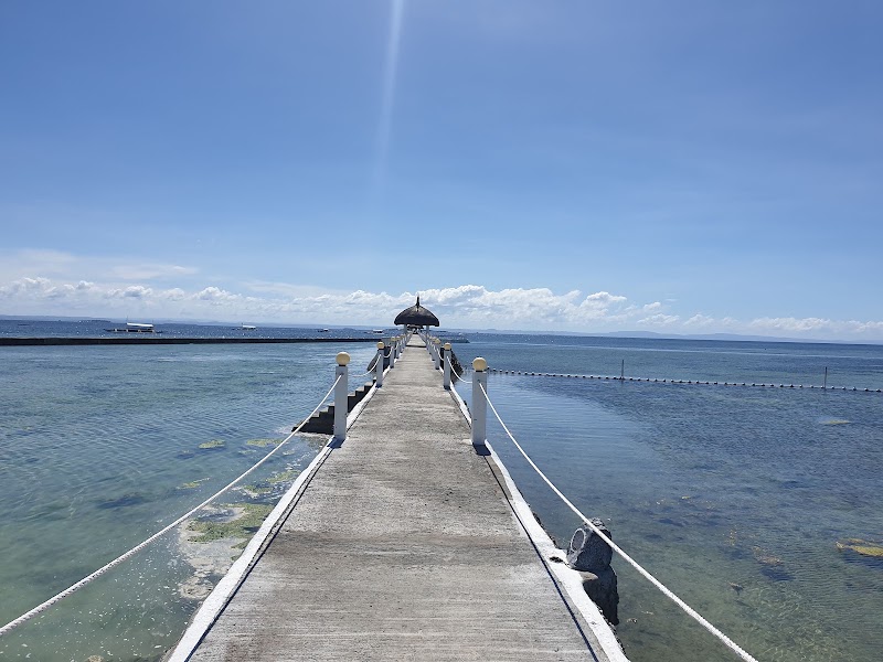 Pacific Cebu Resort International Inc. - Pacific Cebu Resort International Inc., Lapu-Lapu, 6015 Cebu, Philippines