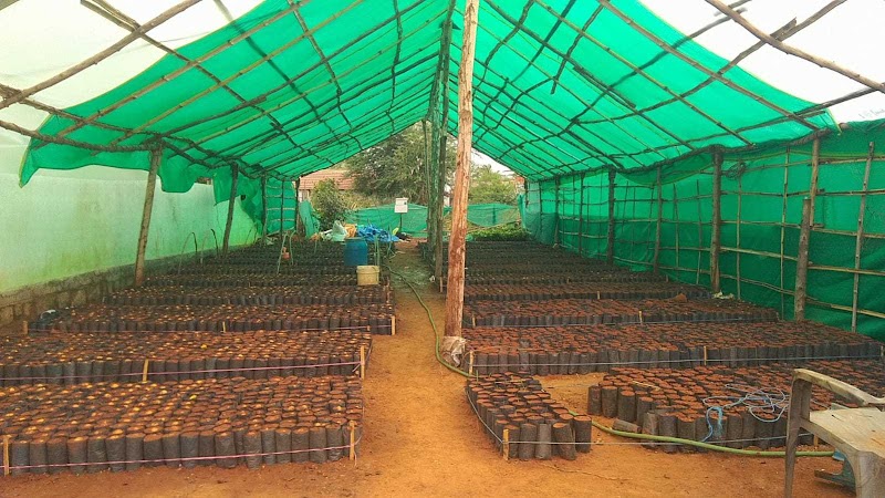 Roy Planters - Roy Planters, Kunthur, mole, uppara street, Kollegala, Kunthur, Karnataka 571442, India