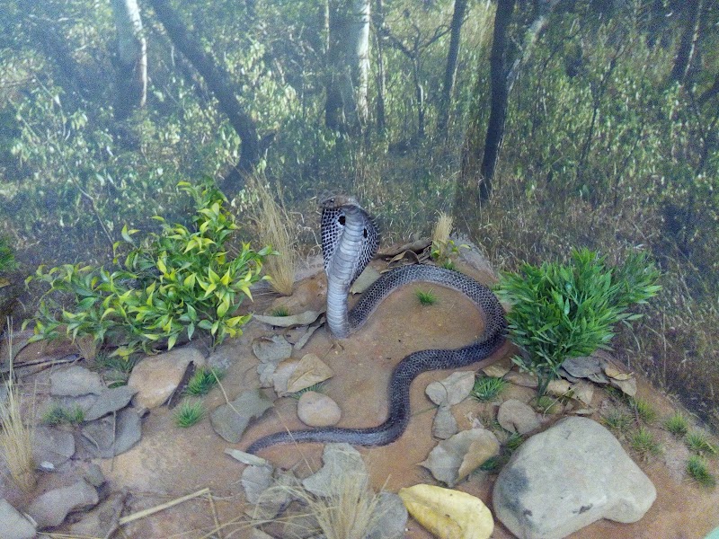 Nature Interpretation Centre, Sukhna Lake - Nature Interpretation Centre, Sukhna Lake PRQJ+QCR, Bhagwanpura, Chandigarh, 160001, India