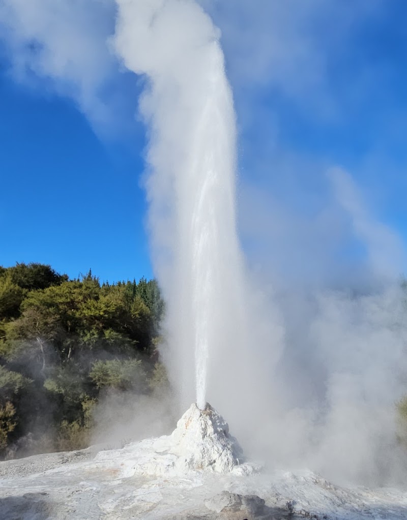 Lady Knox Geyser