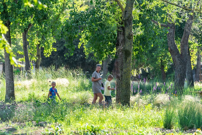 Camping Ca 'Savio - Camping Ca 'Savio Via di Ca' Savio, 77, 30013 Cavallino-Treporti VE, Italy