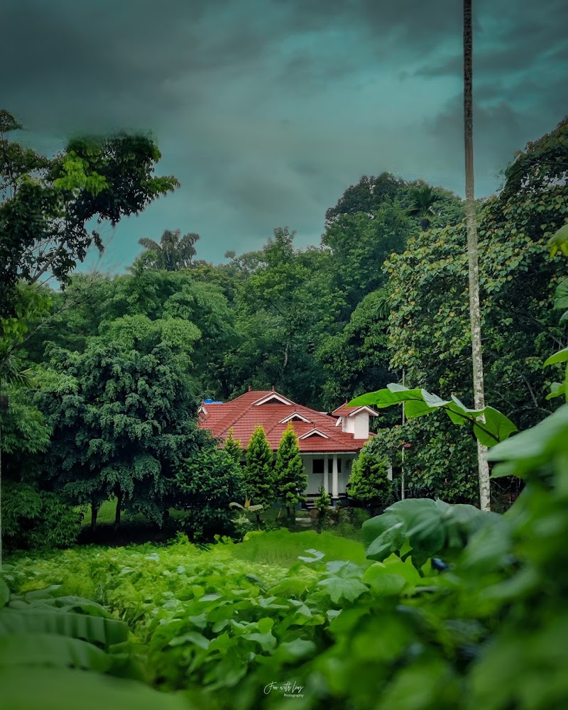 Spice Fields Cottage ( 3 Bedroom ) by Naturebnb - Spice Fields Cottage ( 3 Bedroom ) by Naturebnb Bus Station, Panamaram - Nadavayal - Beenachi Rd, Kenichira, Kerala 673596, India