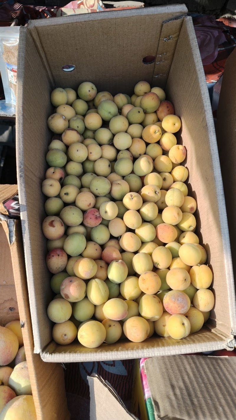 Fruit Market - Fruit Market, 9GP7+HPG, NH 109, Bhowali, Bhawanipur, Sukha, Uttarakhand 263132, India