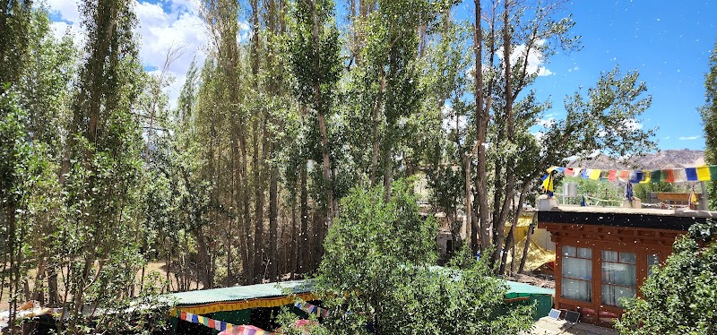 Mentokling Guest House And Apple Garden Restaurant - Mentokling Guest House And Apple Garden Restaurant Changspa Road, Zangsti Rd, Leh, 194101