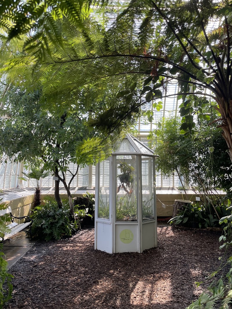 Palm House - Palm House, Schönbrunn Palace Park, 1130 Wien, Austria