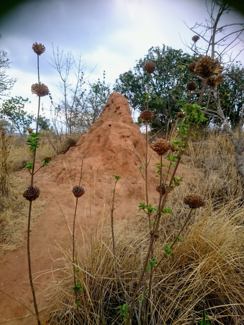 Lowveld View - Lowveld View, R532, South Africa