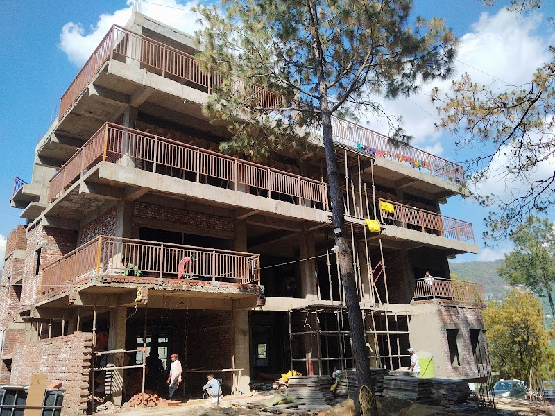 Birdie Resort - Birdie Resort W23H+PX3, Dharampur-Basholu Rd, Kasauli, Dharampur, Himachal Pradesh 173209, India