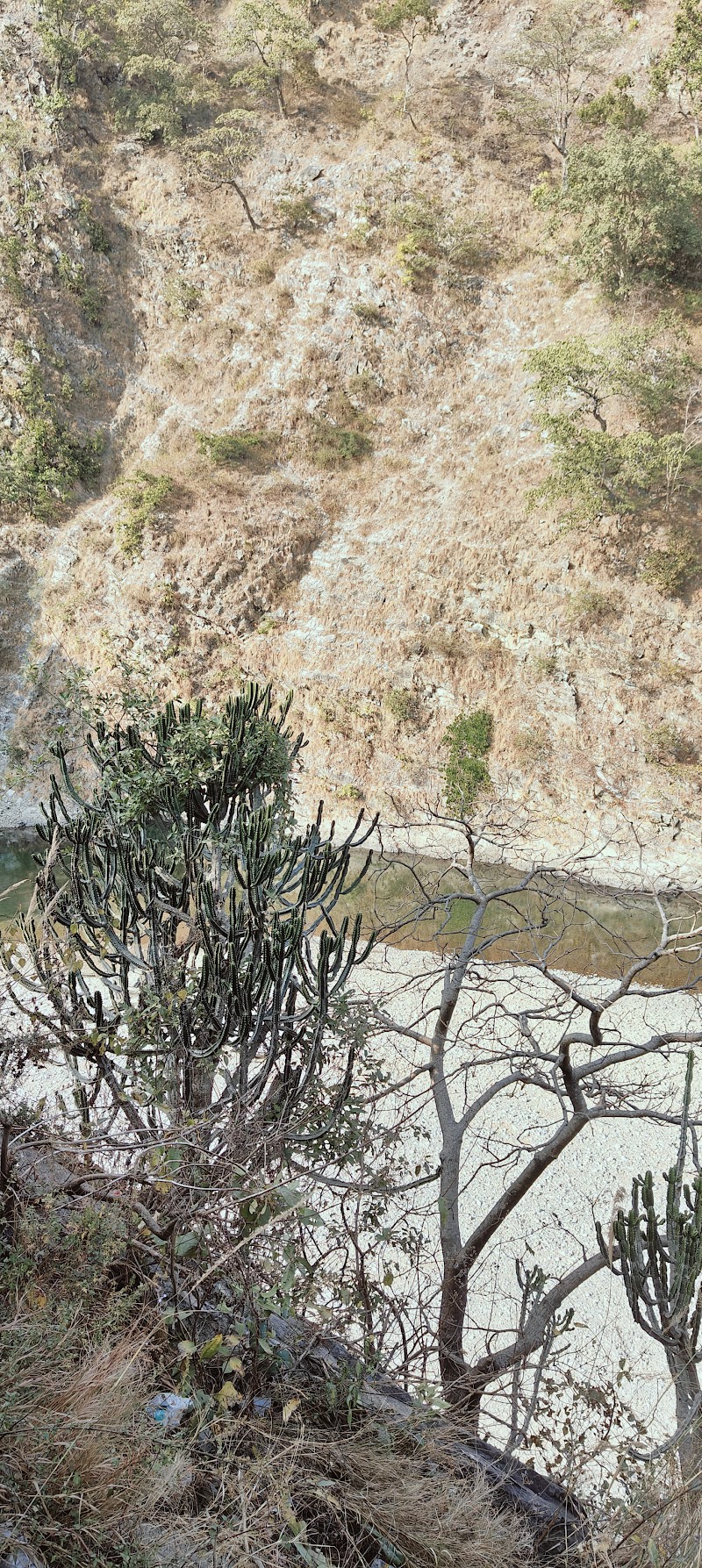 Crocodile view point - Crocodile view point, J34R+5FG, NH309, Marchula, Ghiroli, Uttarakhand 263646, India