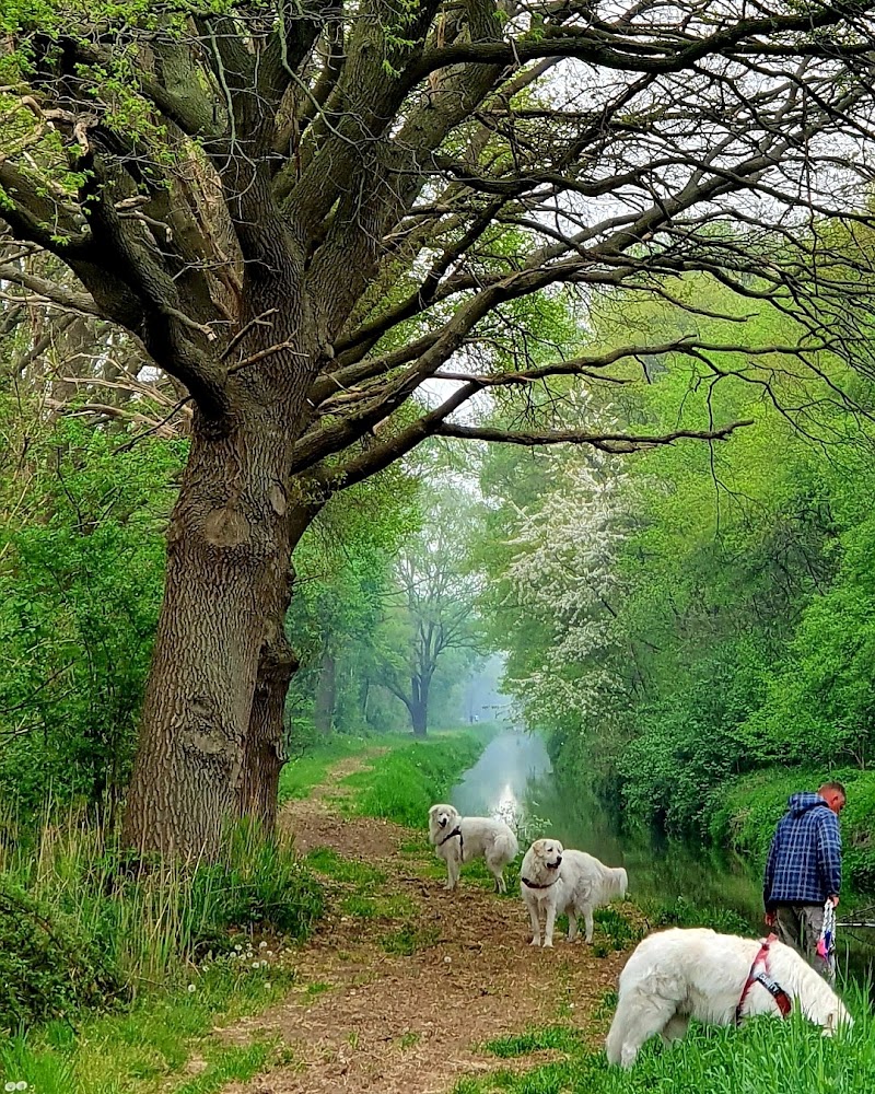 Beringe - Beringe, Netherlands