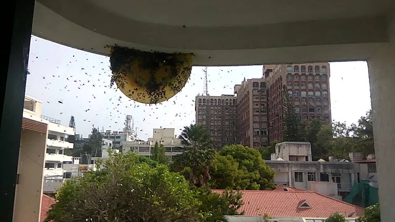 NAVIGATOR Pest Control Service Bangalore - NAVIGATOR Pest Control Service Bangalore, 2nd Floor, 1st cross, No. 17/11, Outer Ring Rd, opp. to Dr. Rajkumar Samadhi, opp. to Dr. Ambrish, Punya Bhoomi, Nandini Layout, Bengaluru, Karnataka 560096, India