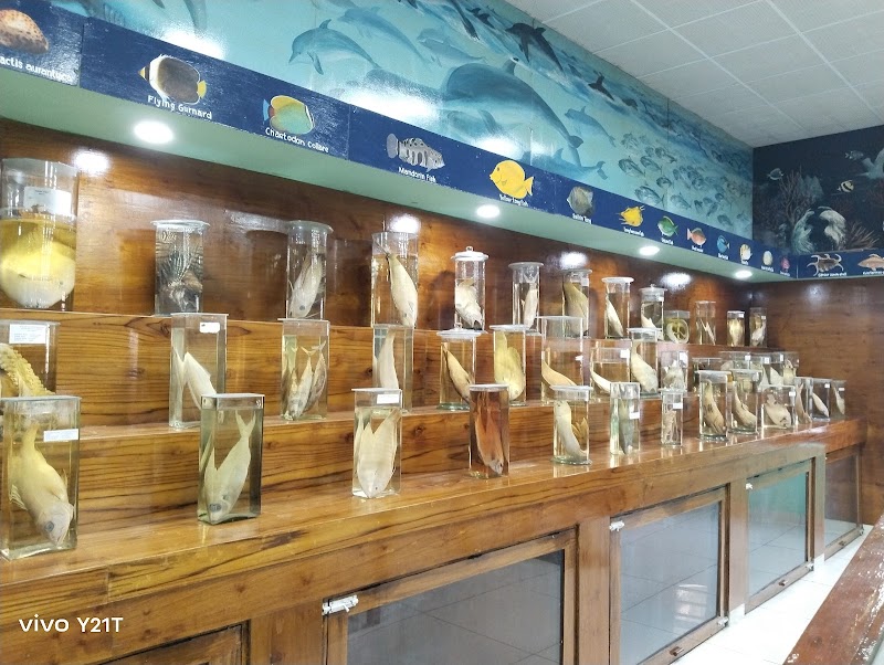 Marine Aquarium and Museum - Marine Aquarium and Museum, HJGR+H4J, Kavaratti, Lakshadweep 682555, India