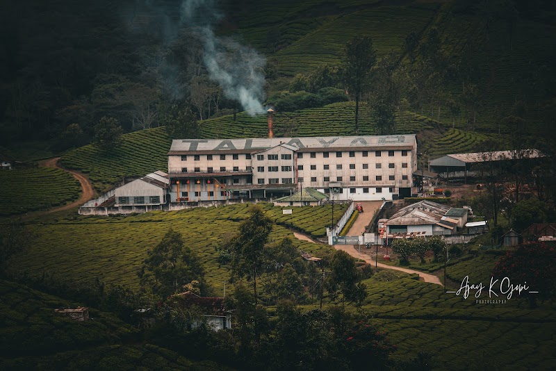 Talayar Tea Factory - Talayar Tea Factory 5442+FV8, Kannan Devan Hills, Kerala 685614, India