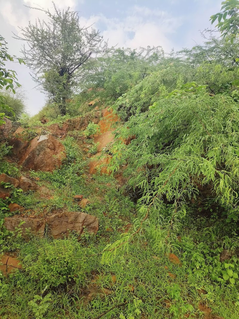 Aravalli Hills - Aravalli Hills 9X6V+GC, Gurugram, Haryana 122101, India