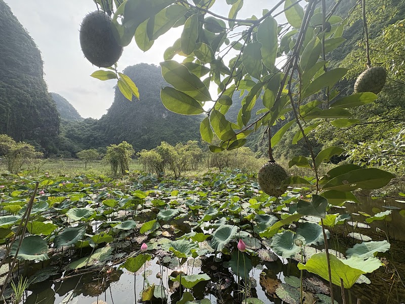 Dundj Valley - Dundj Valley, Nam Hoa Lu, Ninh Binh 08100, Vietnam
