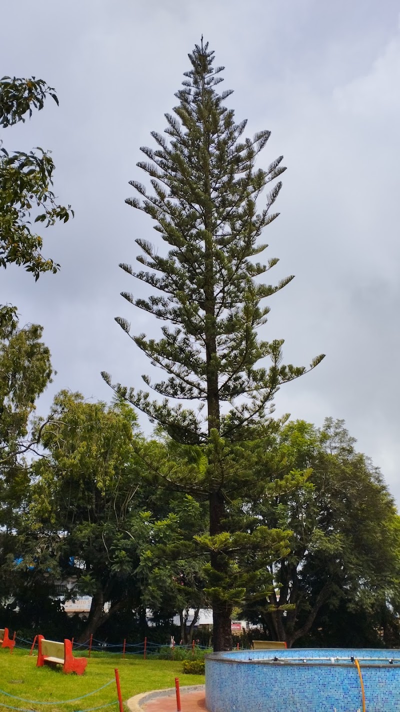 Nehru Park - Nehru Park CVF8+C66, Jhonstone Cir, கோத்தர், கிரிTamil, Kotagiri, Tamil Nadu 643217, India