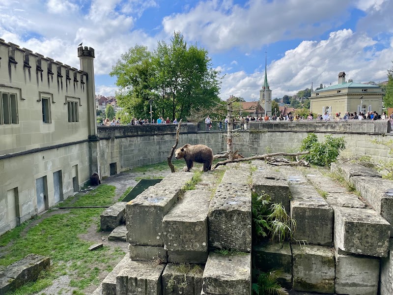 BearPark - BearPark Grosser Muristalden 4, 3006 Bern, Switzerland