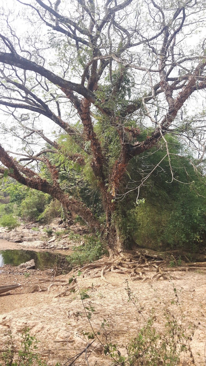 Khone Pa Soy Waterfall - Khone Pa Soy Waterfall, XW4P+52V, Khon, Laos