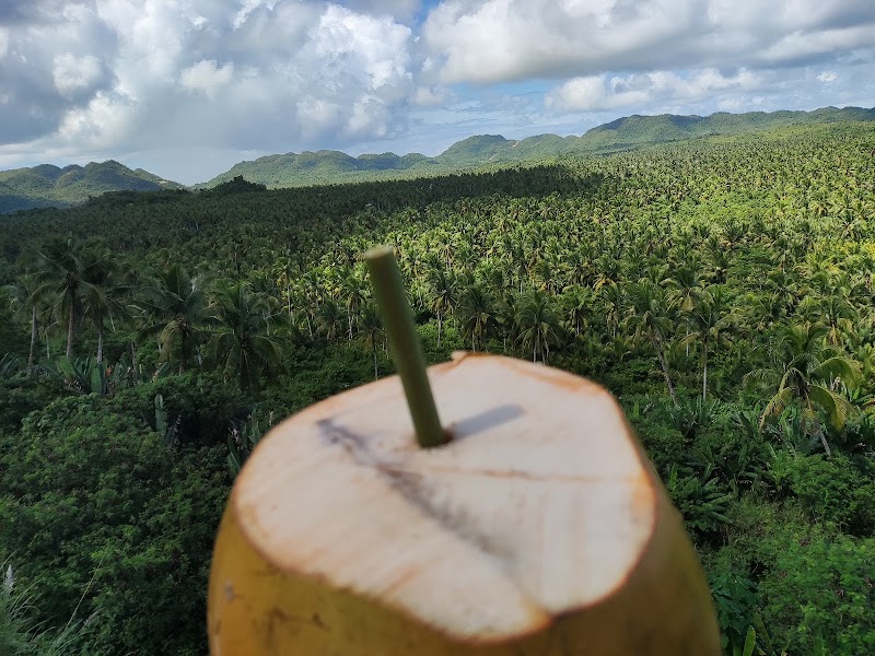 Coconut Plantation View Point - Coconut Plantation View Point, R365+WRH, Siargao Circumferential Rd, Pilar, Surigao del Norte, Philippines