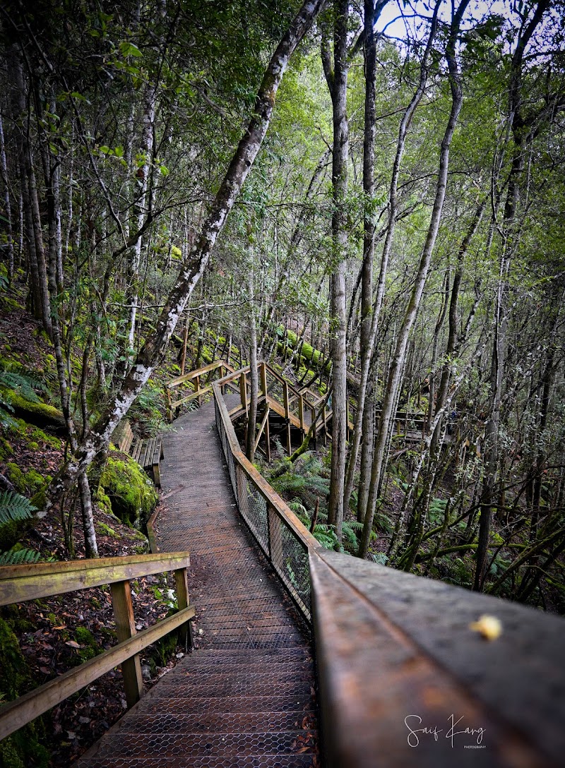 Russell Falls - Russell Falls, National Park TAS 7140, Australia