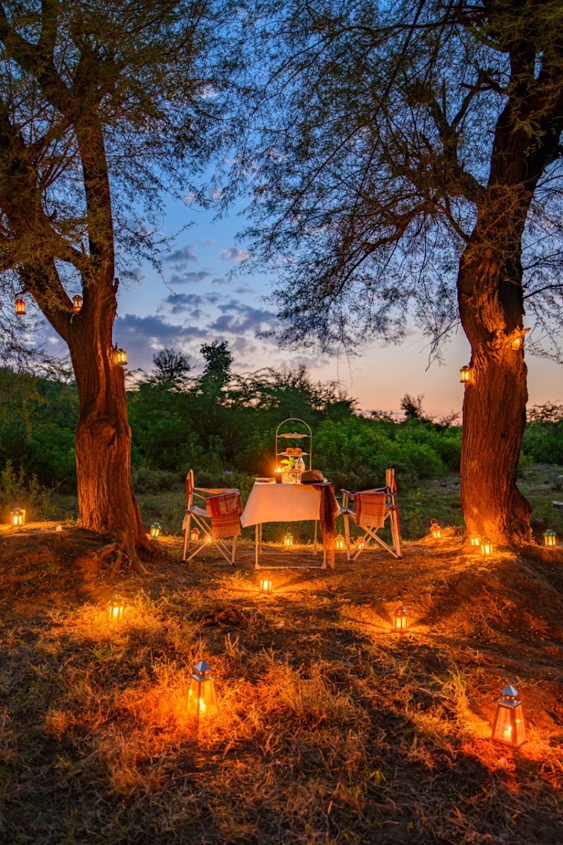 Utsav Camp Sariska - Utsav Camp Sariska, Village Murlipura, Tehla, Talab, Rajasthan 301410, India