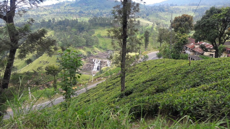 St. Clair Estate - Tea Factory - St. Clair Estate - Tea Factory, A7, Talawakelle, Sri Lanka