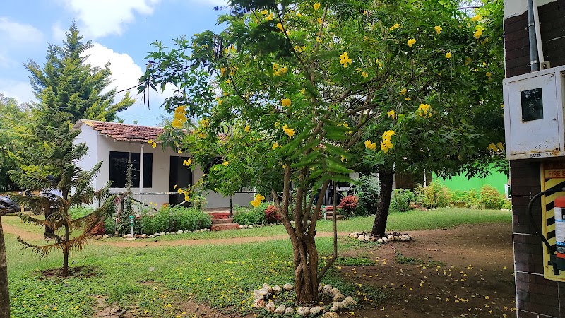 The Big Cat's Den - Maravakandy Resort, Masinagudi - The Big Cat's Den - Maravakandy Resort, Masinagudi behind Govt Silk farm, Masinagudi, Tamil Nadu 643223, India