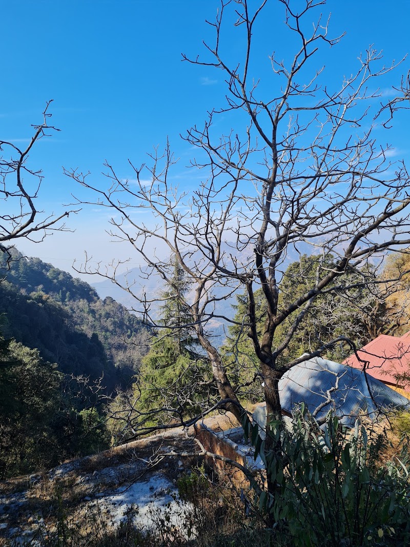Lal Tibba Scenic Cafe - Lal Tibba Scenic Cafe Lal Tibba Binoculars bazar, Road, Naya Mohalla, Landour, Mussoorie, Uttarakhand 248179, India