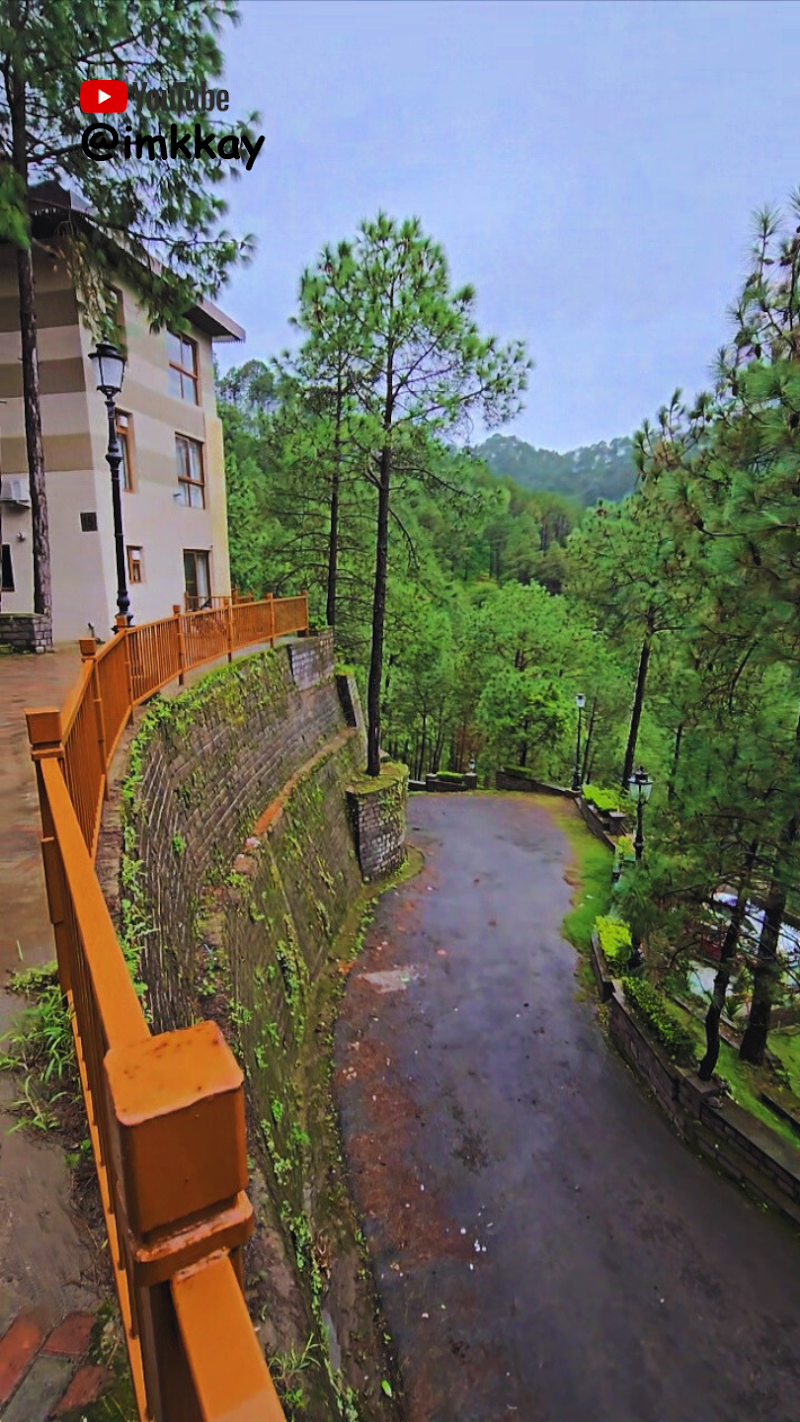 Pines villa kasauli - Pines villa kasauli WX6P+J5, Himachal Pradesh 173201, India