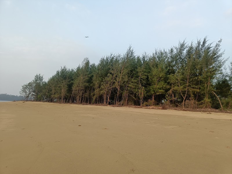 Aasare Beach Park - Aasare Beach Park 9MRW+FP2, Kadike Beach Rd, Thonse West, Padutonse, Karnataka 576115, India