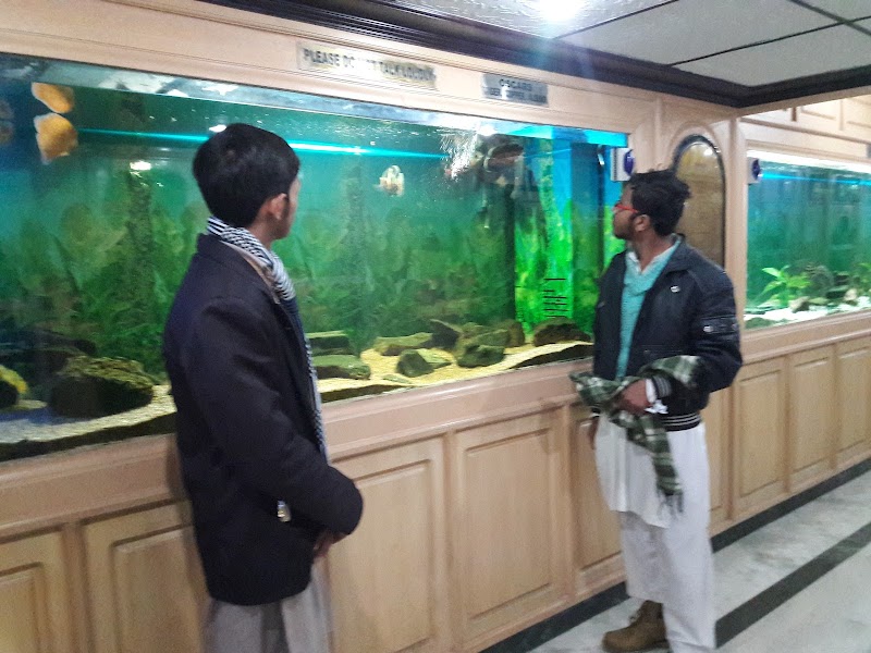 Jawahar Aquarium - Jawahar Aquarium, F35F+9FW, Mall Rd, The Mall Road, Mussoorie, Uttarakhand 248179, India
