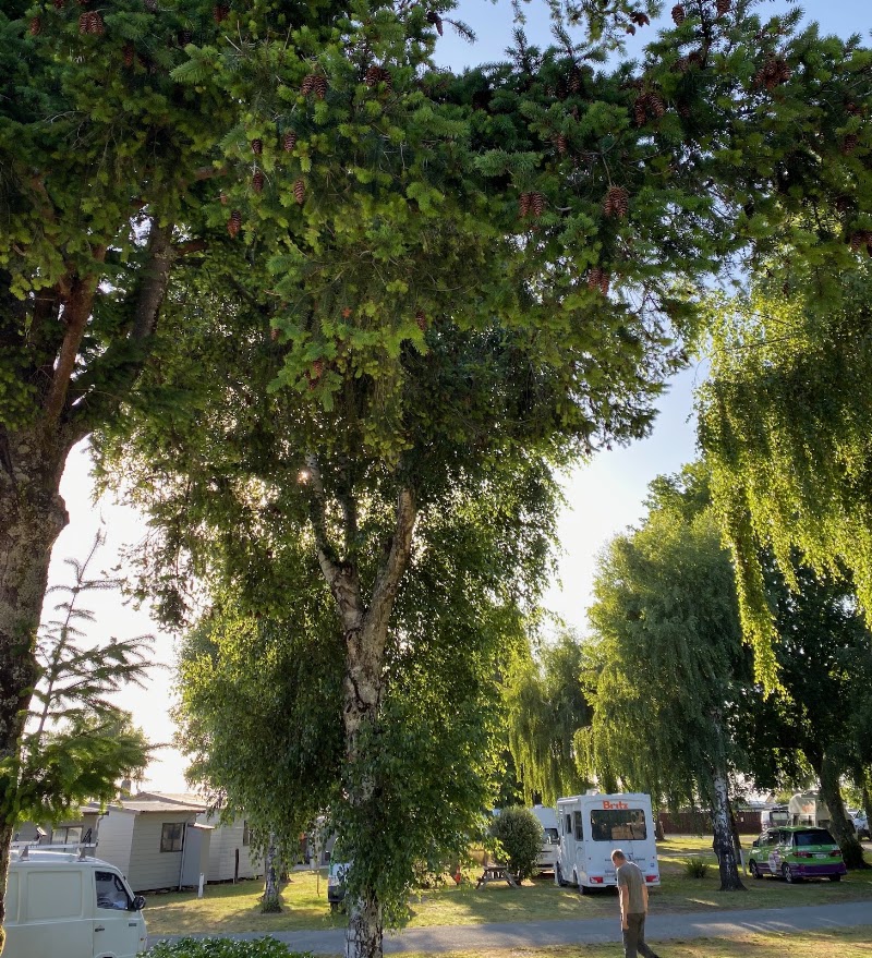 Marahau Beach Camp - Marahau Beach Camp, 9 Franklin Street, Mārahau 7197, New Zealand