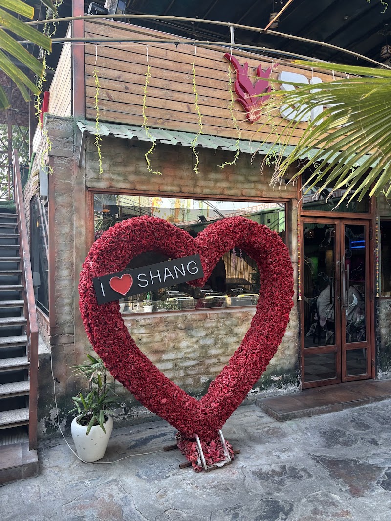 Drooling by The Shang : Best Restaurants in Dwarka | Roof Top Restaurant In Dwarka - Drooling by The Shang : Best Restaurants in Dwarka | Roof Top Restaurant In Dwarka Chowk, Block B, Sector 23, Bharthal, New Delhi, Delhi, 110077, India