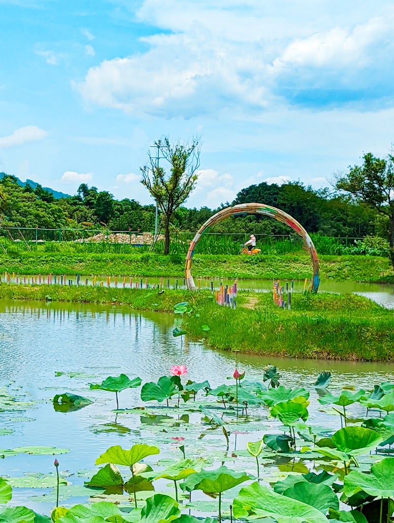 Shanjia Lotus Pond - Shanjia Lotus Pond X98Q+JR, Shulin District, New Taipei City, Taiwan 238
