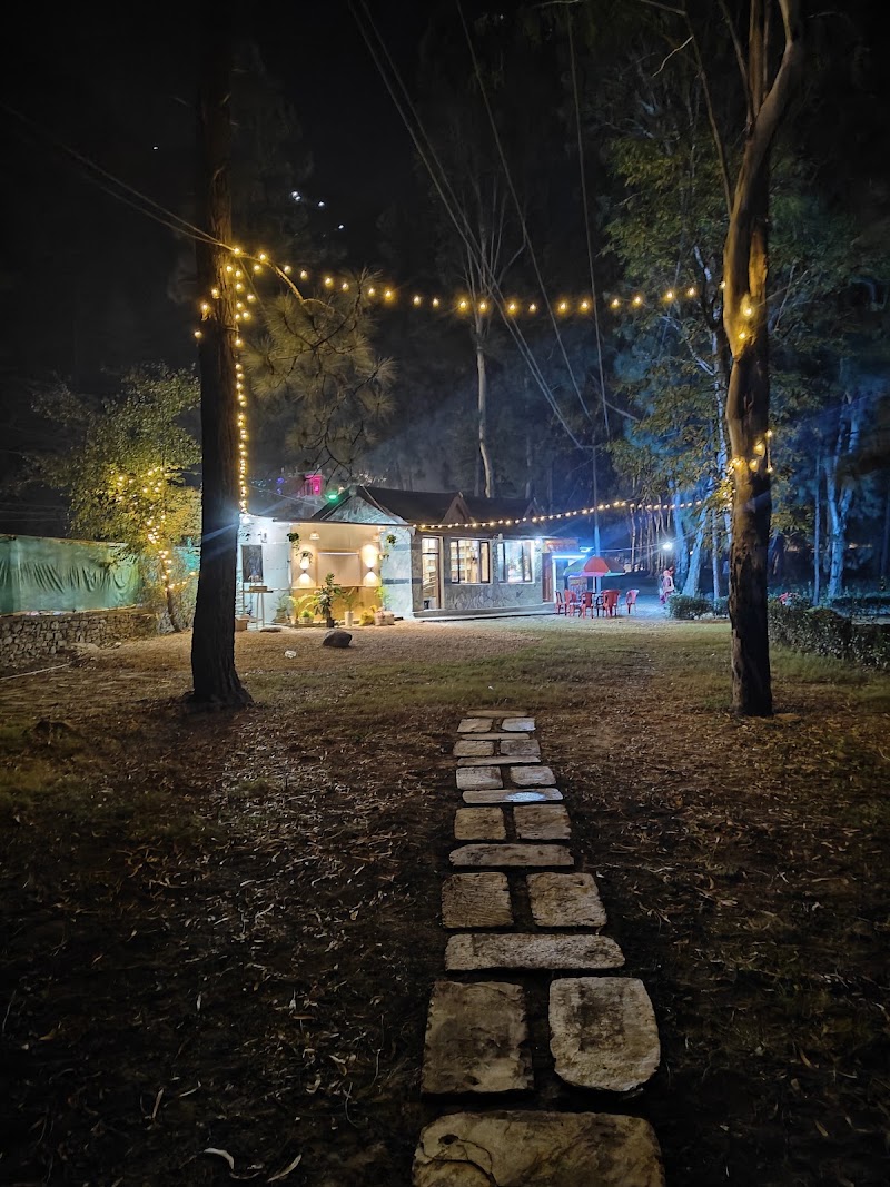 Cafe Deodar by Hilly Basket - Cafe Deodar by Hilly Basket, NH 3, Nature Park, Babeli, Biasar, Himachal Pradesh 175138, India