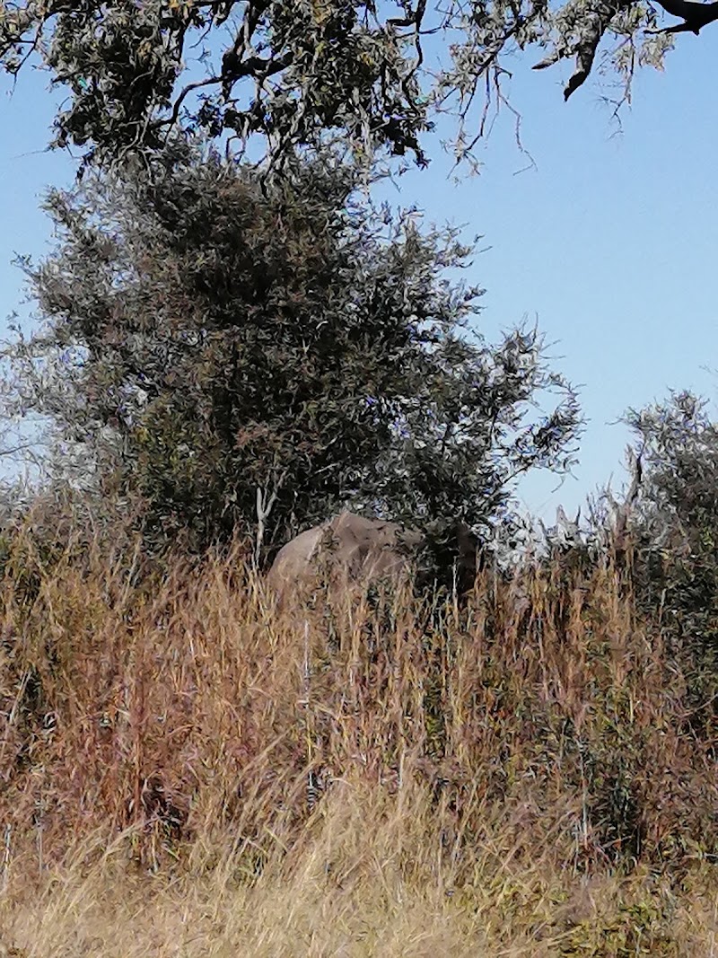 Mudumu National Park - Mudumu National Park, WG3G+C39, Muneambuanas, Namibia